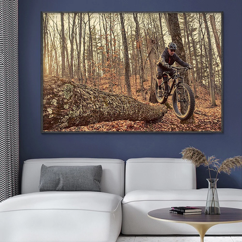 Mountain Biking Movies - SP082 실크 천 벽 포스터, 산악