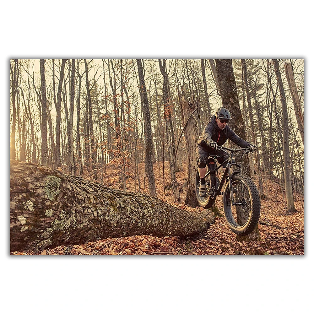 SP082 실크 천 벽 포스터, 산악 자전거, 오프로드 - Mountain Biking Movies 리뷰 및 가격