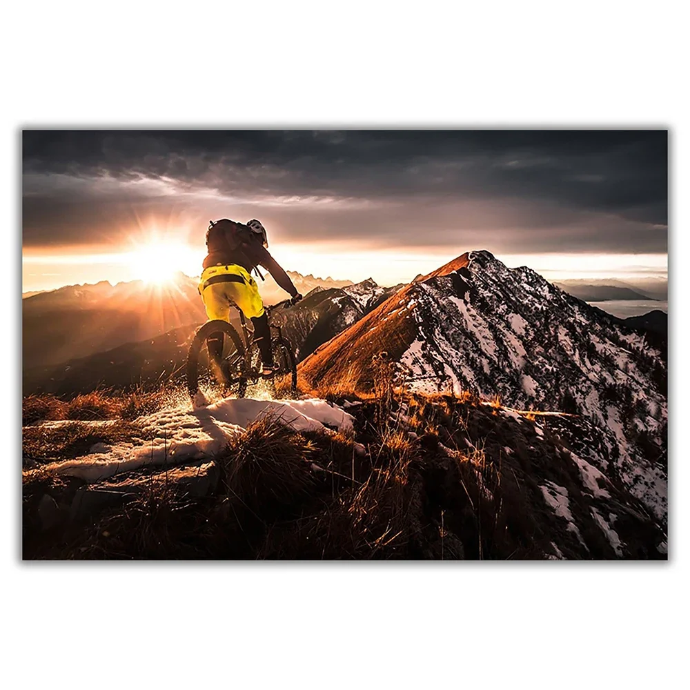 SP080 실크 천 벽 포스터 산악 자전거 오프로드 사 - Mountain Biking Movies 리뷰 및 가격